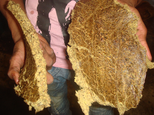 машина для получения масла из масличных культуров